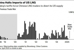 99热99这里精品6国产,六国文化盛宴